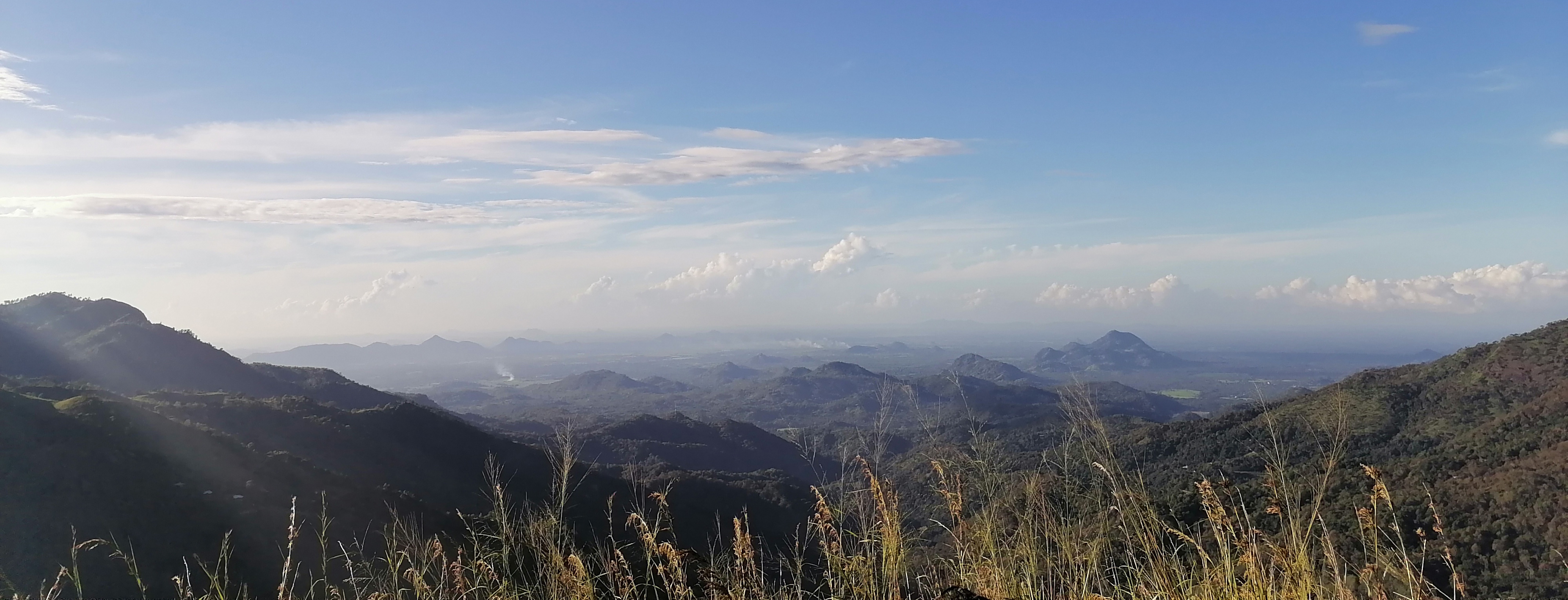 Ella View